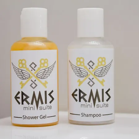 Ermis Mini # 1 公寓 Chalkís